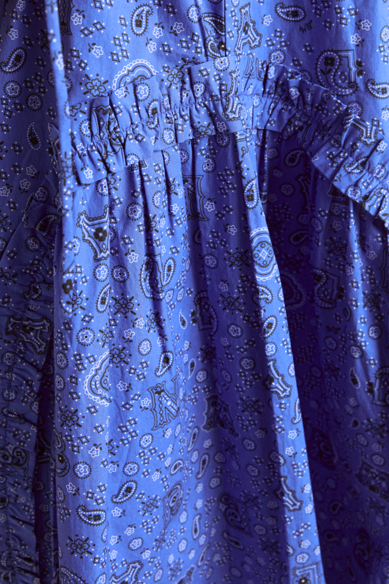 meri mini dress - blue paisley